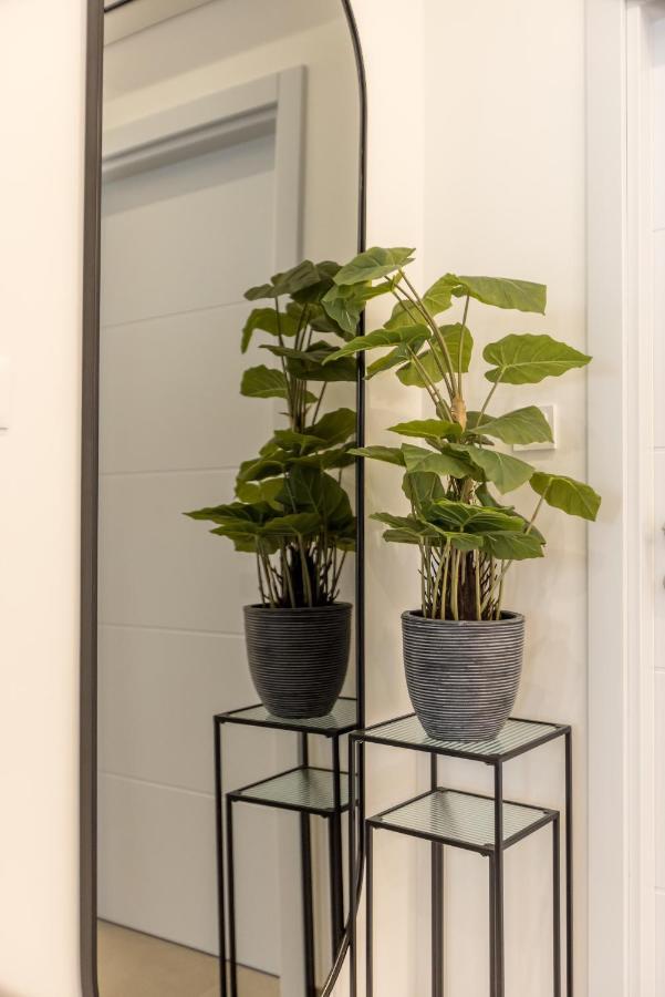 Apartment Jelavic Bol